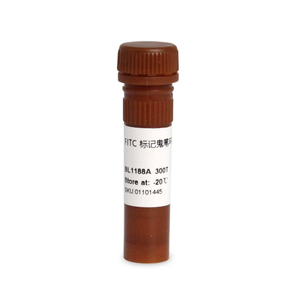 BL1188A Phalloidin FITC标记鬼笔环肽