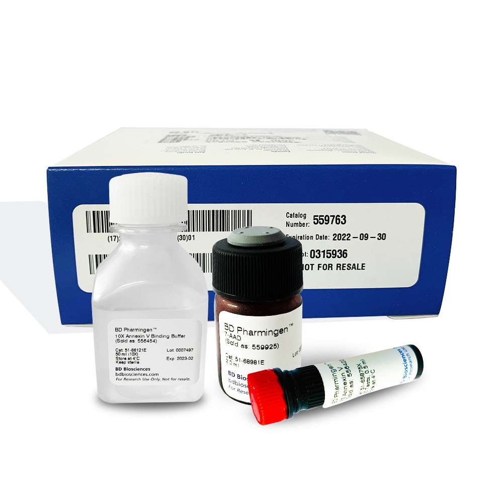 559763 Annexin V-PE 细胞凋亡检测试剂盒 - BD