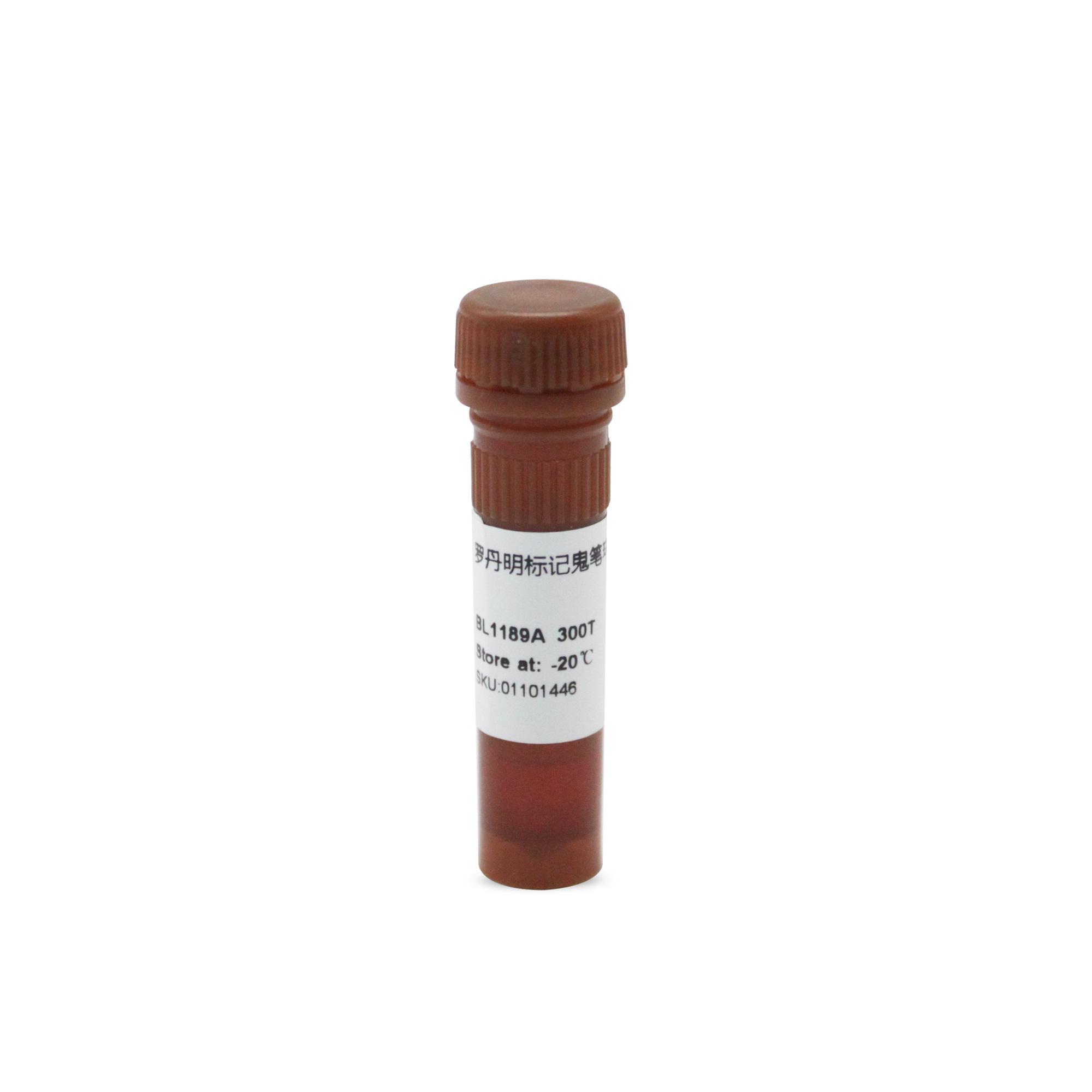 BL1189A TRITC Phalloidin 罗丹明标记鬼笔环肽