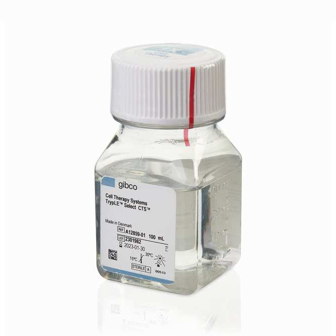 A1285901 CTS TrypLE Select 酶 - Gibco