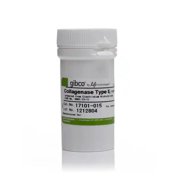17101-015 胶原酶II型Collagenase II - Gibco