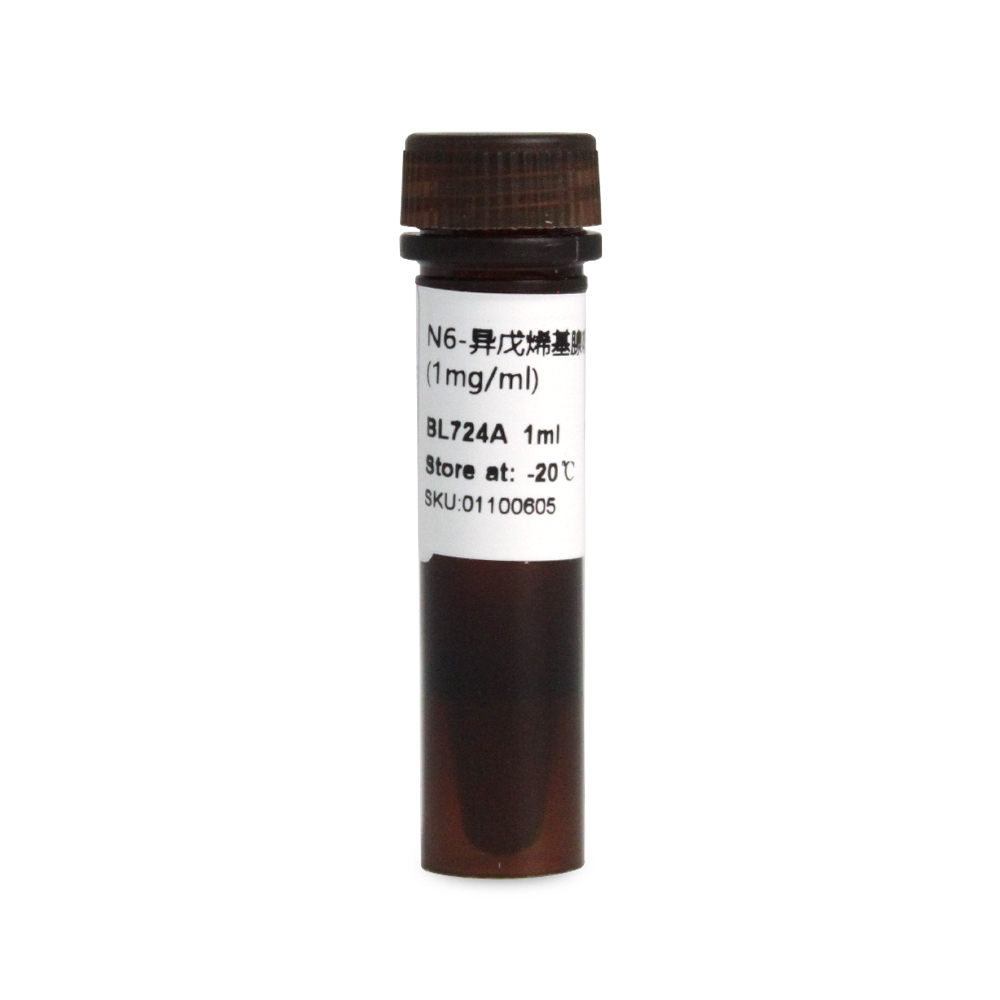 BL724A N6-异戊烯基腺嘌呤核苷溶液（2ip riboside）1mg/ml