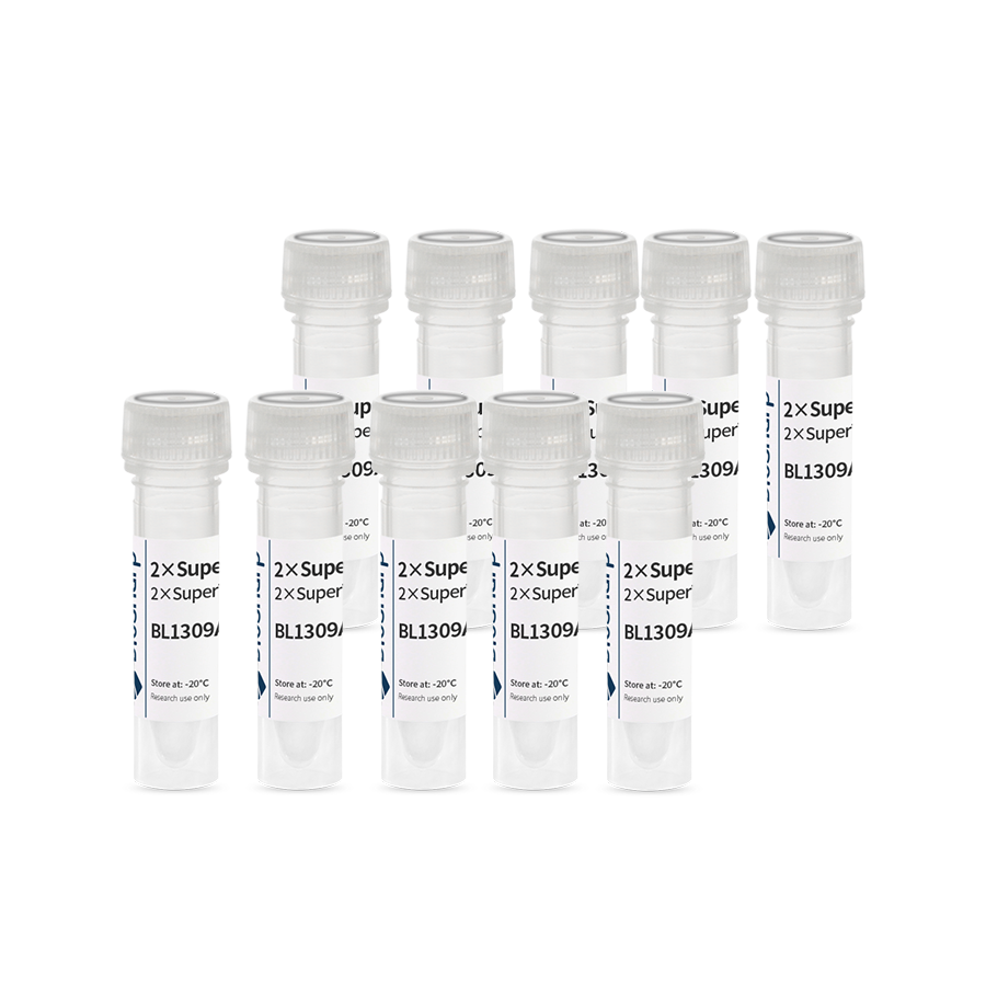 BL1309B 2×Super Taq plus PCR Master Mix不含染料(适用于复杂/高GC模板扩增)