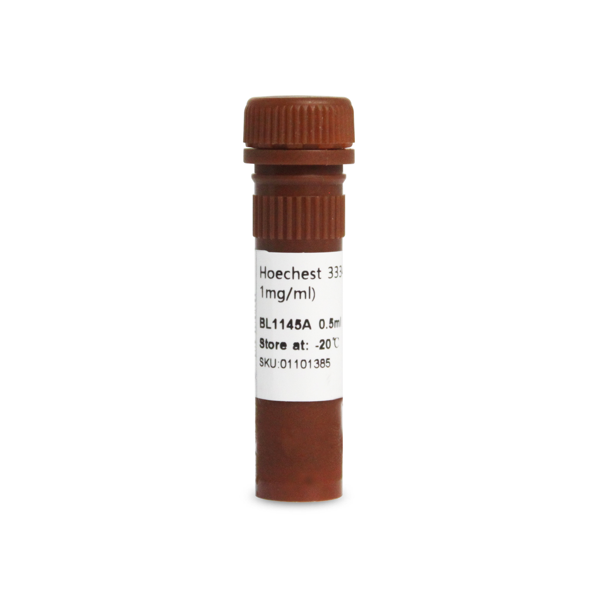 BL1145A Hoechst 33342细胞染色液(100x, 1mg/mL)