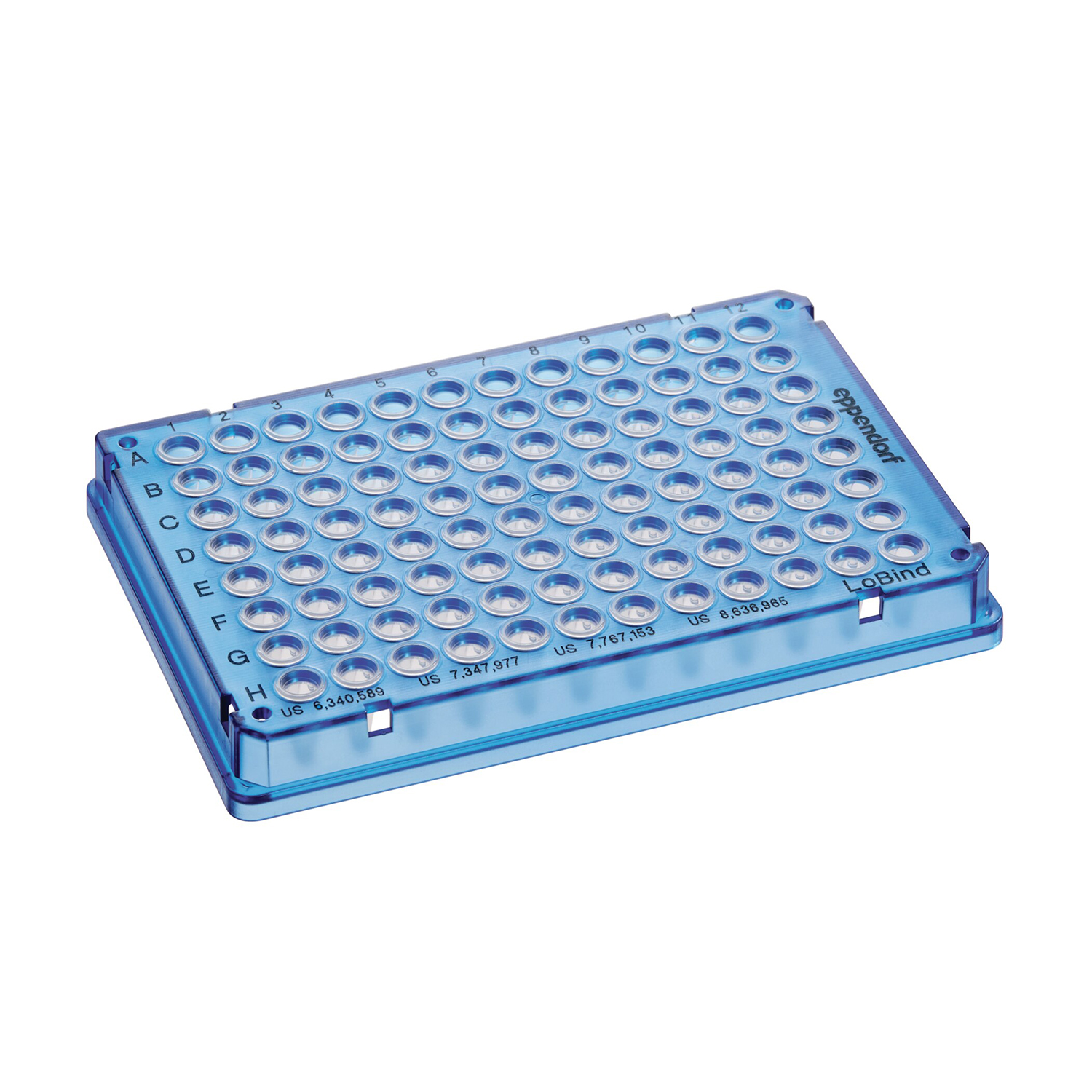 0030129580 twin tec 96孔PCR板 全裙边 150 μL 洁净级 蓝色 - Eppendorf/艾本德