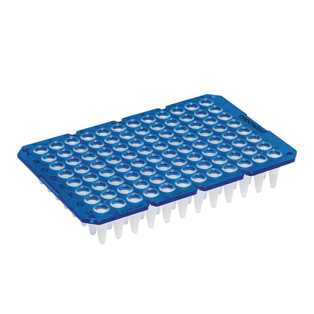 0030133404 96孔PCR板 无裙边 常规通量(250 μl) 蓝色 可拆分 - Eppendorf/艾本德