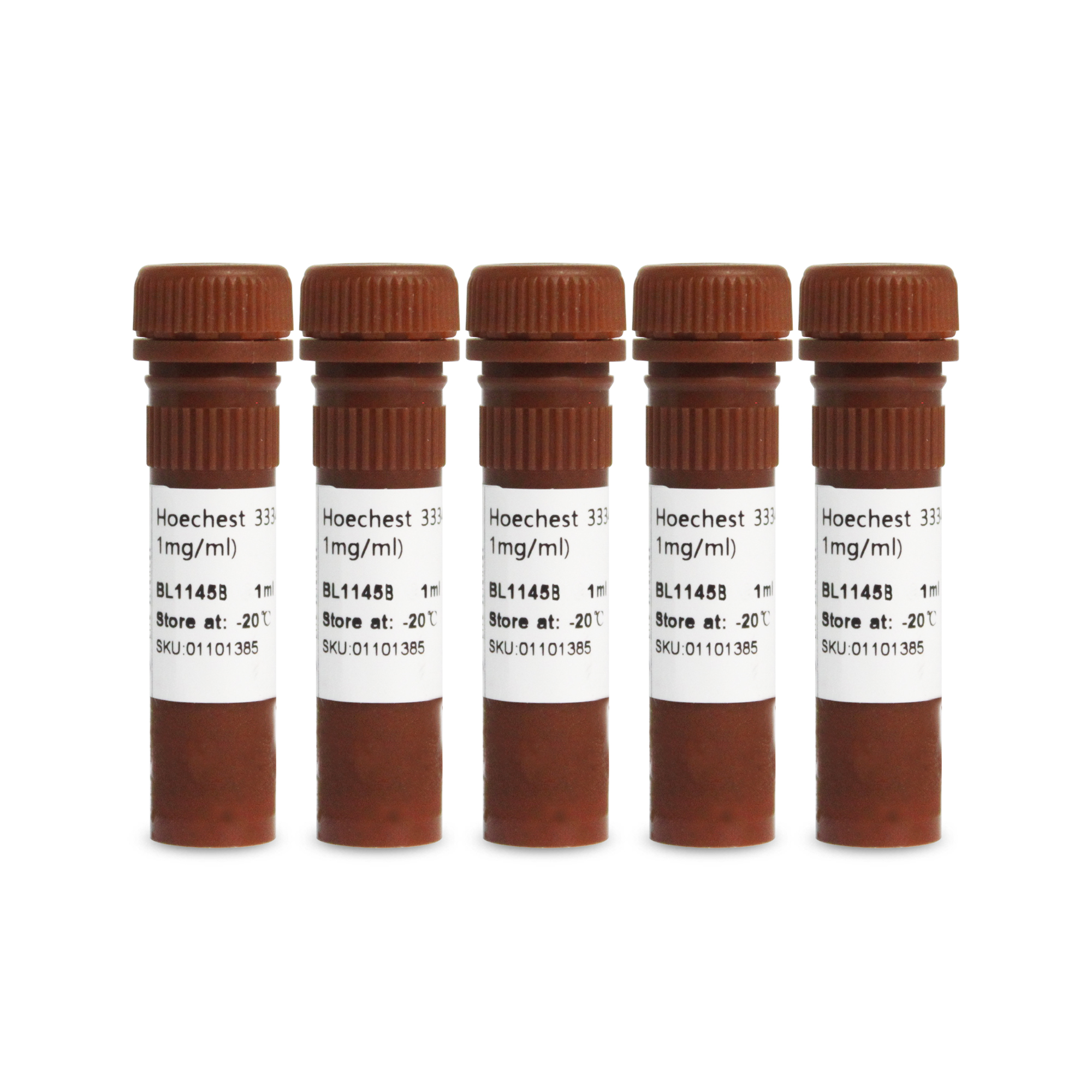 BL1145C Hoechst 33342细胞染色液(100x, 1mg/mL)