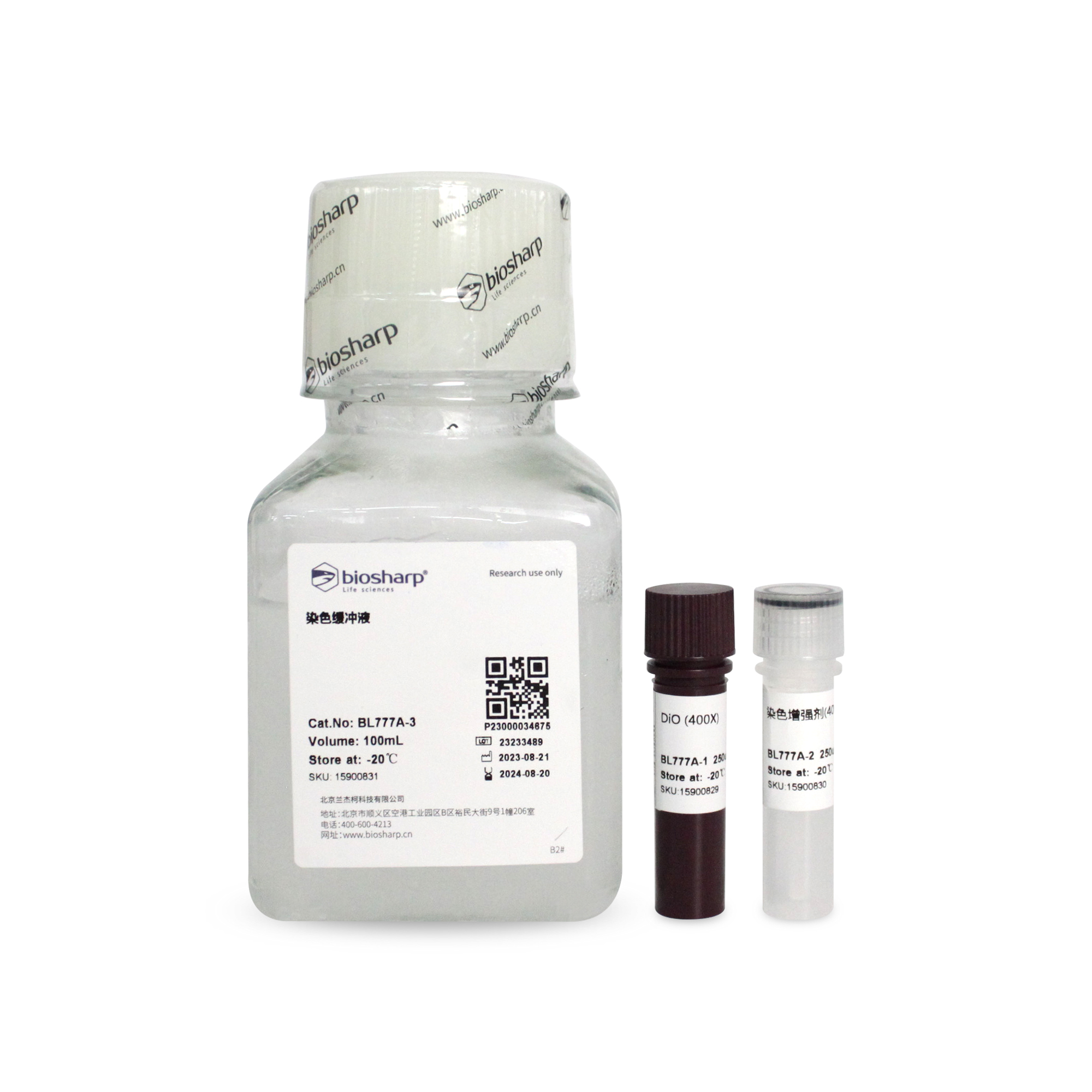 BL777A 细胞膜绿色荧光染色试剂盒(DiO) - Biosharp/白鲨