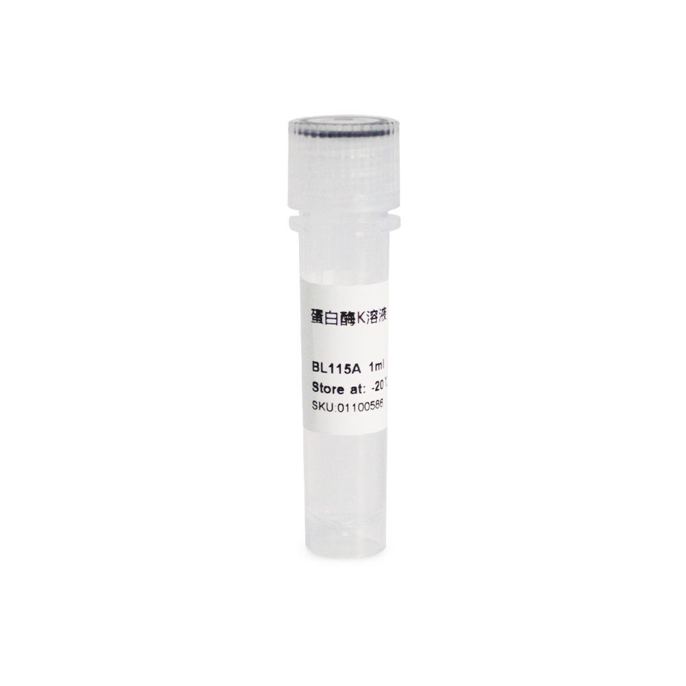 BL115A 蛋白酶K溶液（10mg/ml）