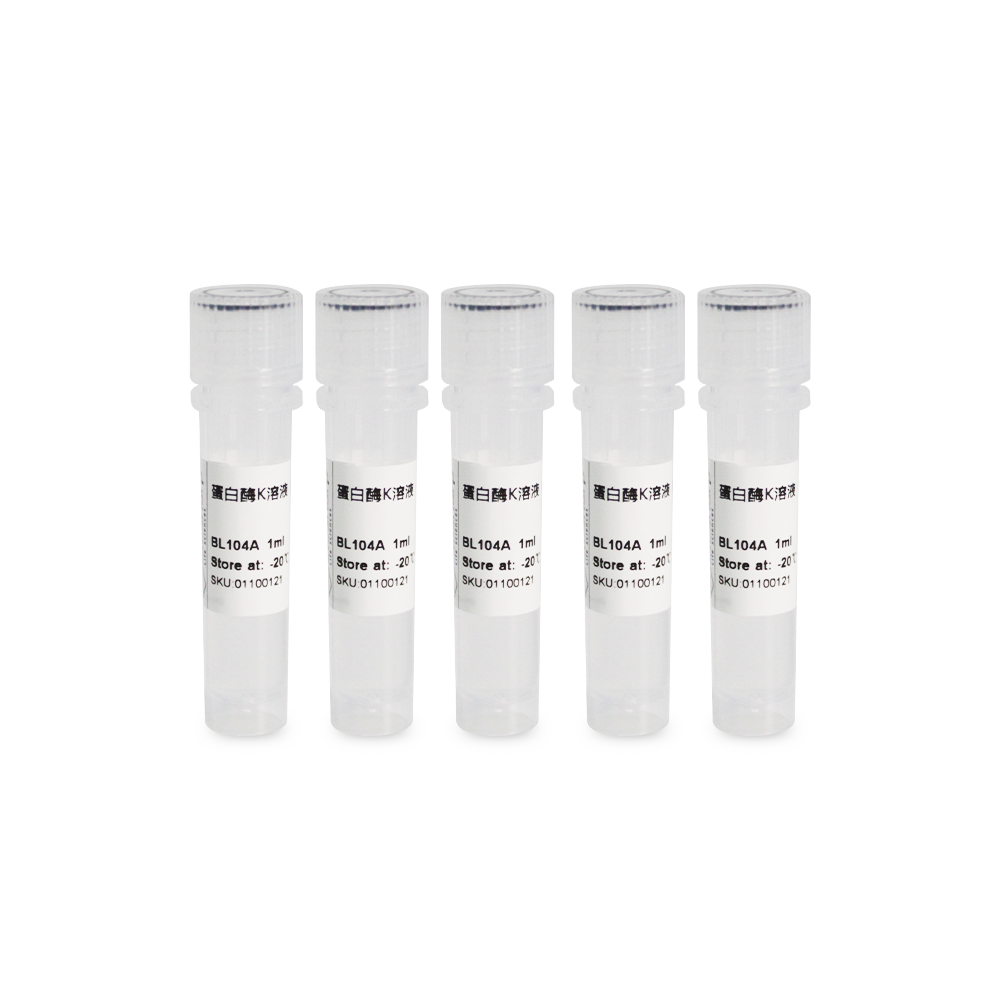 BL104B 蛋白酶K溶液 （20mg/ml）