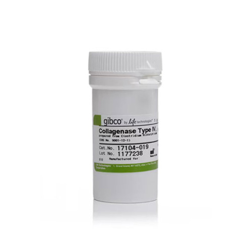 17104-019 胶原酶IV型Collagenase IV - Gibco