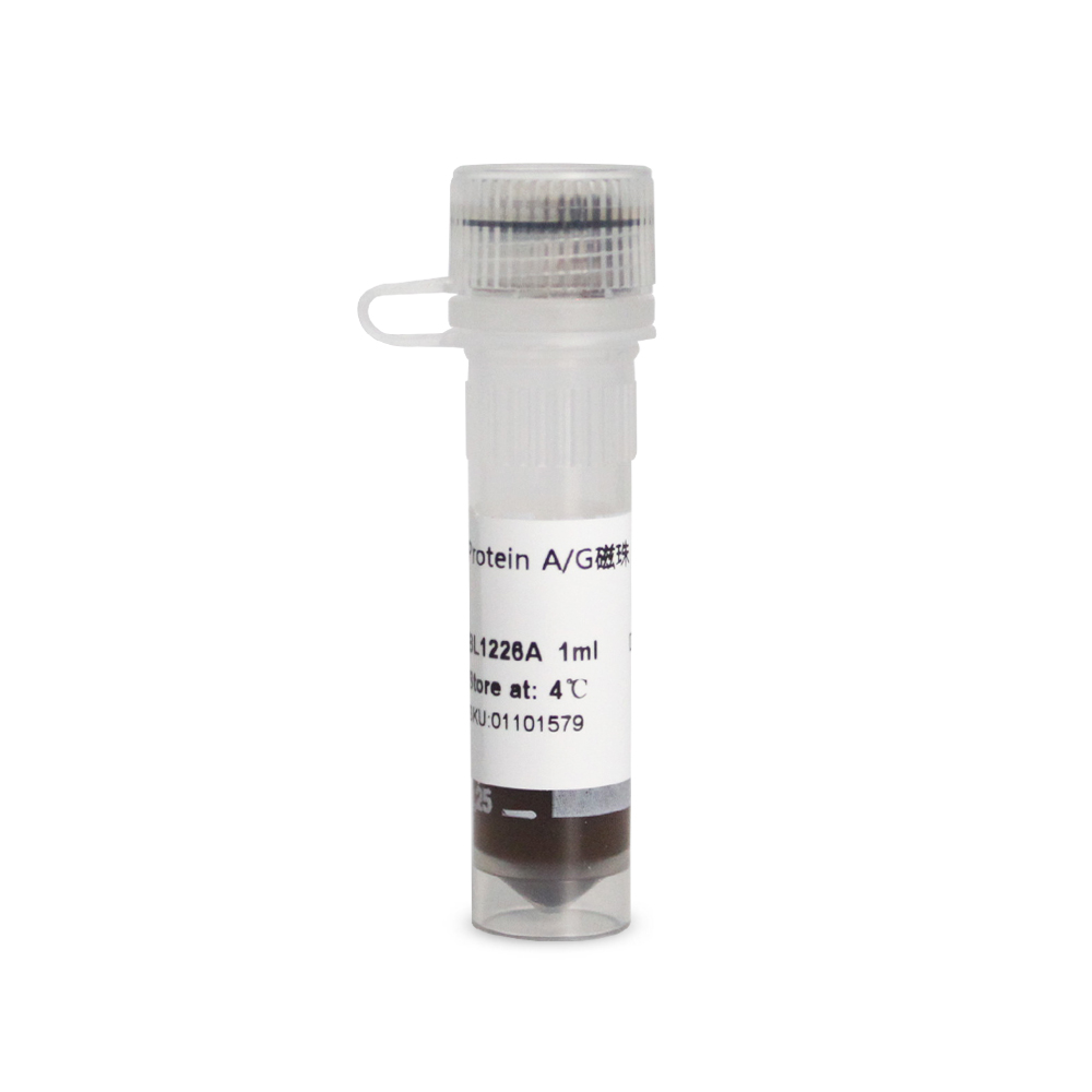 BL1226A Protein A/G Magnetic Beads (Protein A/G磁珠）