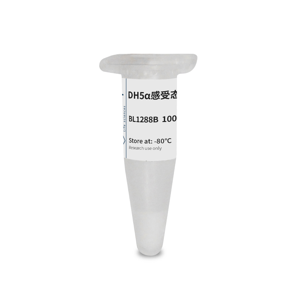 BL1288B DH5α 感受态细胞