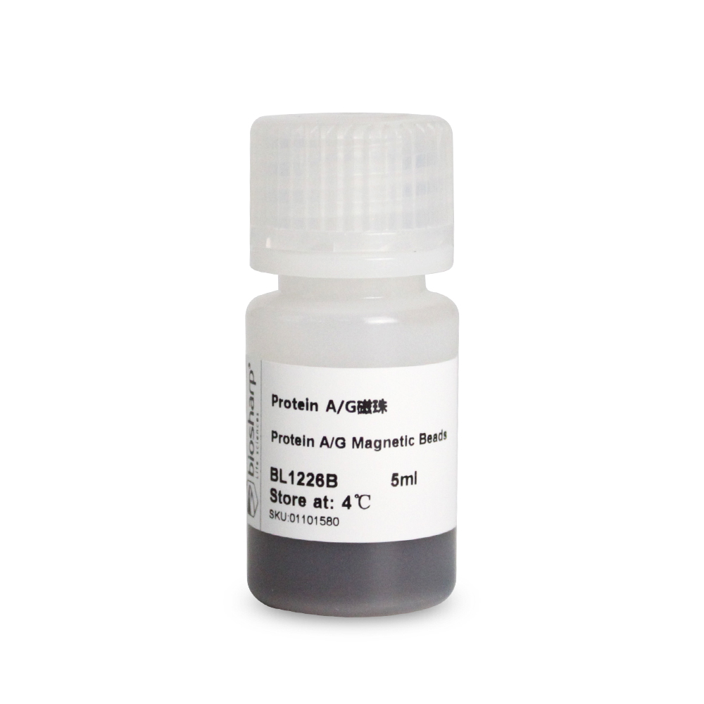 BL1226B Protein A/G Magnetic Beads (Protein A/G磁珠）