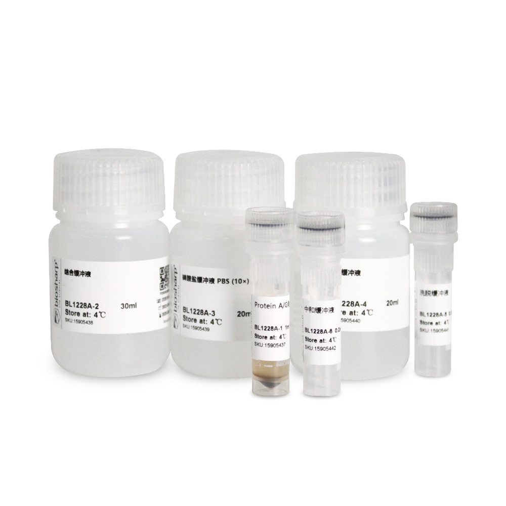 BL1228A Protein A/G Immunoprecipitation Kit (Protein A/G免疫沉淀试剂盒）
