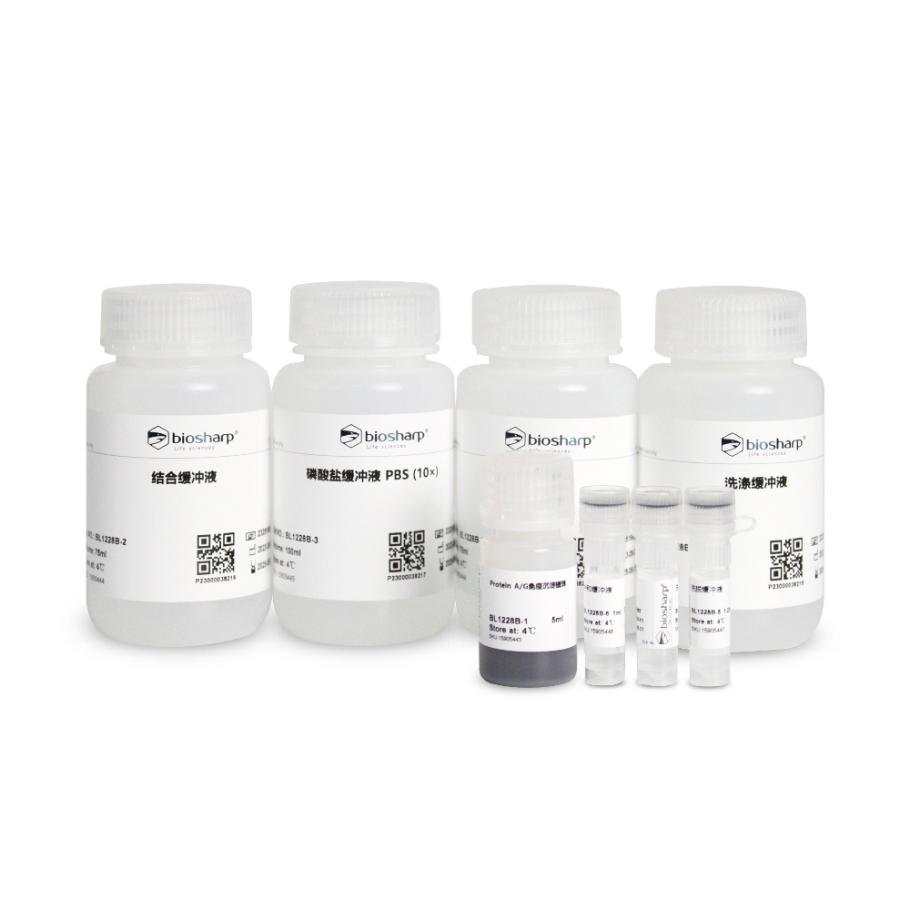 BL1228B Protein A/G Immunoprecipitation Kit (Protein A/G免疫沉淀试剂盒）