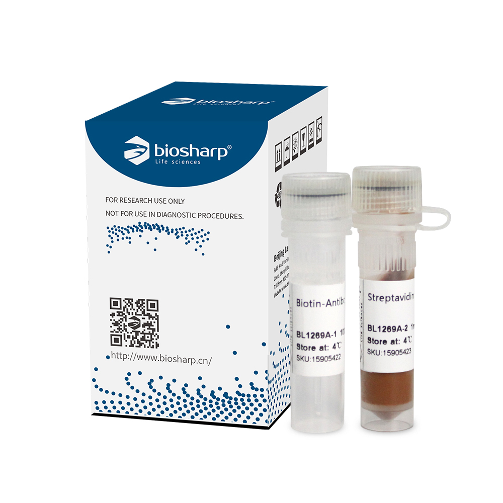 BL1269A 小鼠CD8+ T细胞磁珠法分选试剂盒（阴选） - Biosharp/白鲨