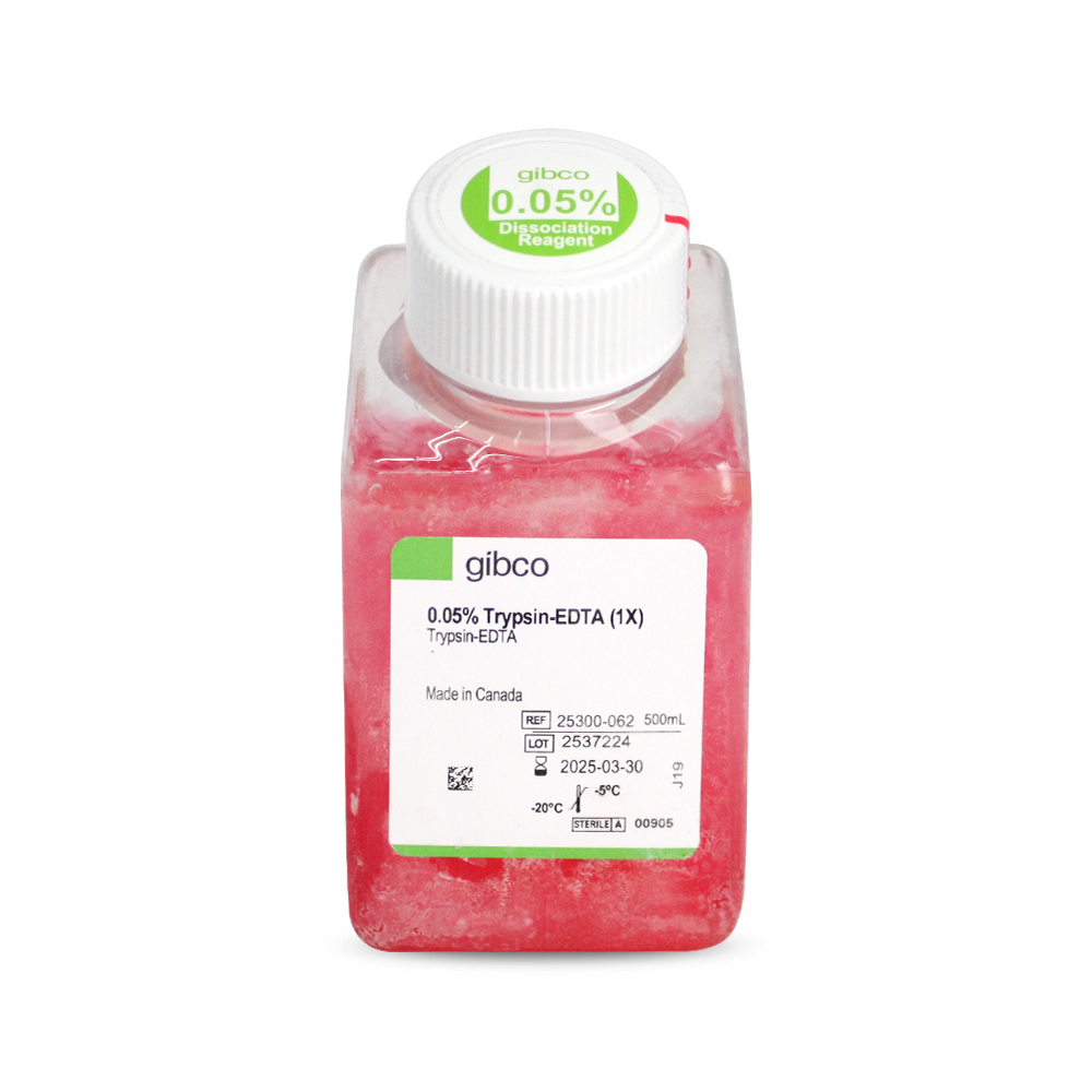 25300-062 胰酶细胞消化液（0.05%胰酶，含EDTA，含酚红） - Gibco