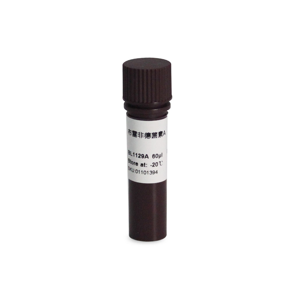 BL1129A Brefeldin A, BFA(布雷非德菌素A)