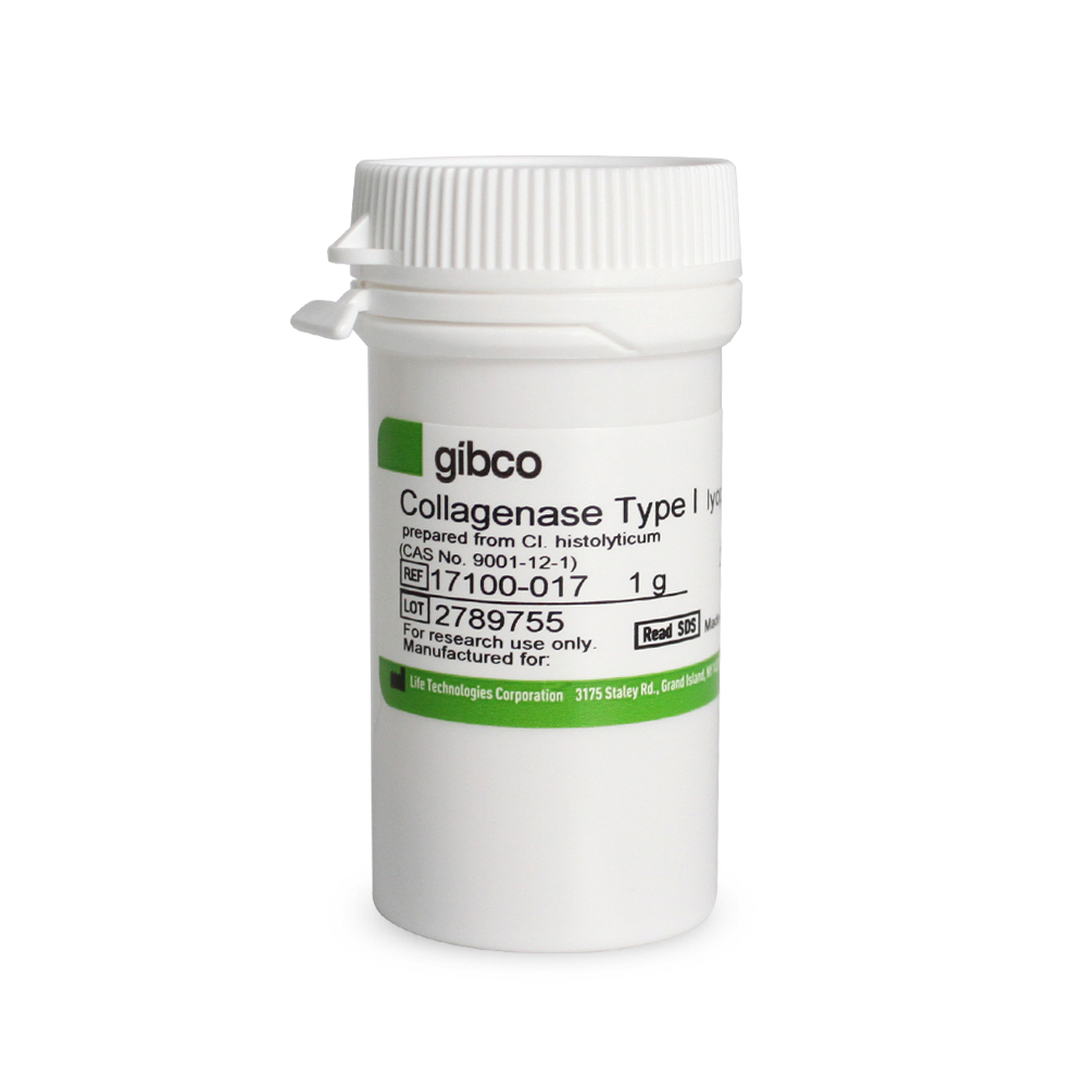 17100-017 胶原酶I型Collagenase I - Gibco