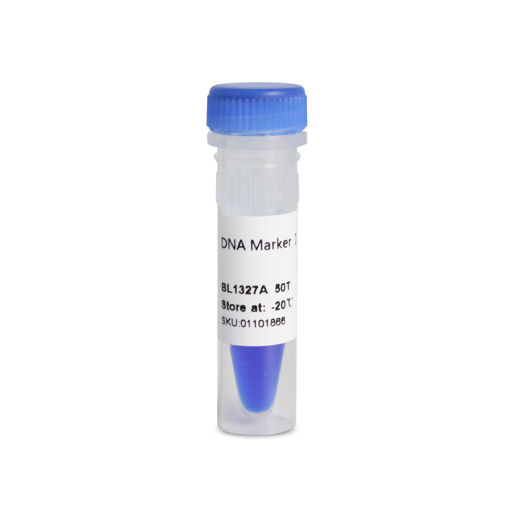 BL1327A DNA Marker Ⅰ 分子量标准(100-700bp)