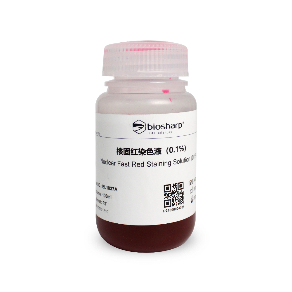 BL1037A 核固红染色液(0.1%)