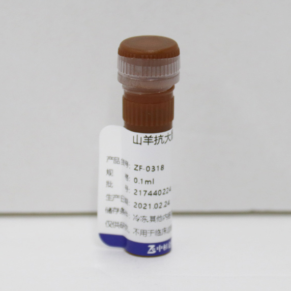 ZF-0318-0.1ml 罗丹明标记山羊抗大鼠IgG（H+L）（亲和纯化）