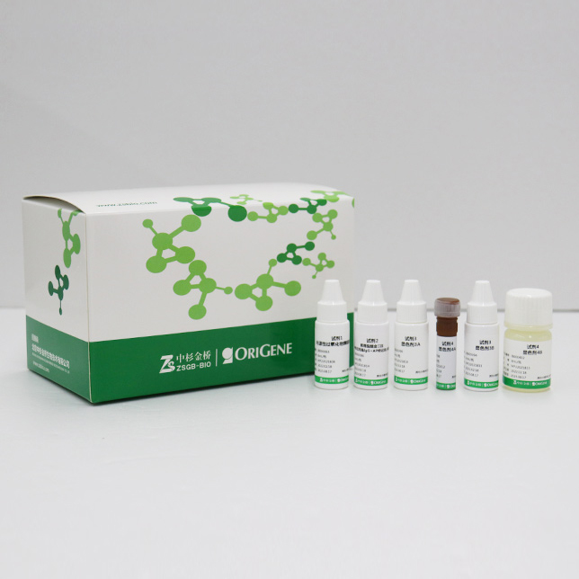 DS-0004-60T 双染检测试剂（抗小鼠IgG/AP+抗兔IgG/HRP） - ZSGB-BIO/中杉金桥