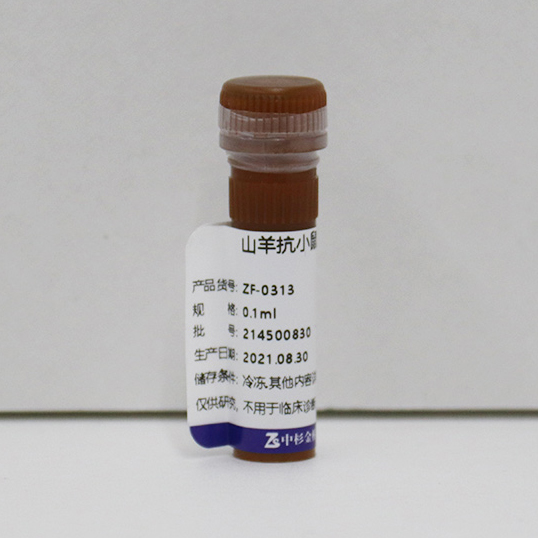 ZF-0313-0.1ml 罗丹明标记山羊抗小鼠IgG