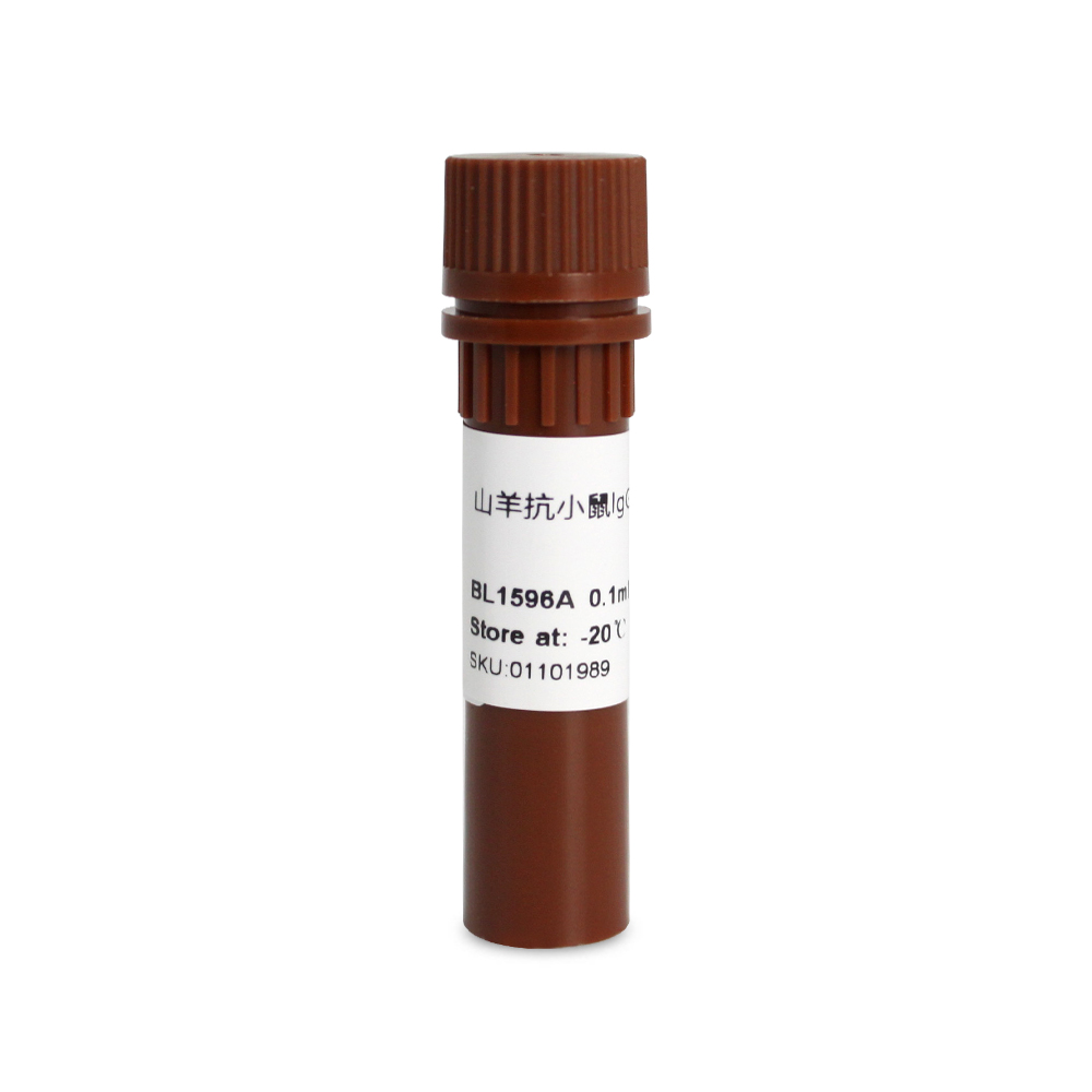 BL1596A 羊抗小鼠IgG-HRP, 1:2,500-1:50,000