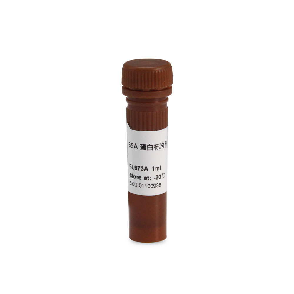 BL673A BSA 蛋白标准品（5mg/ml）