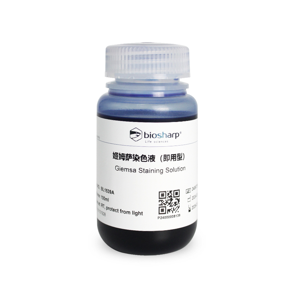 BL1539A 姬姆萨染色液（即用型）