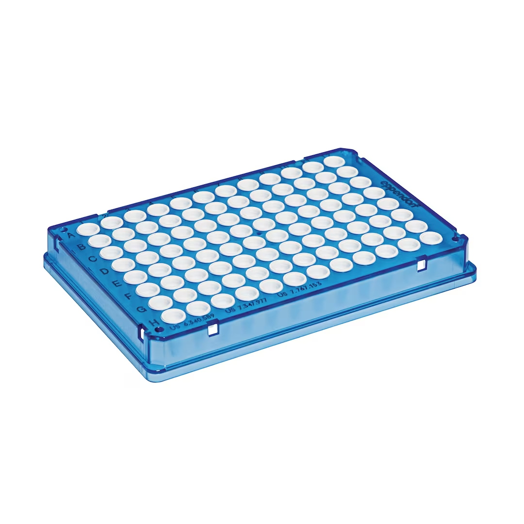 0030132505 twin.tec 96孔, 全裙边, 150 µL, PCR clean, 蓝色框, 白色管 - Eppendorf/艾本德