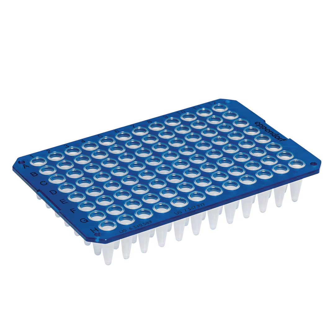 0030133390 twin.tec 96孔, 无裙边, 250 µL, PCR clean, 蓝色框, 透明管 - Eppendorf/艾本德