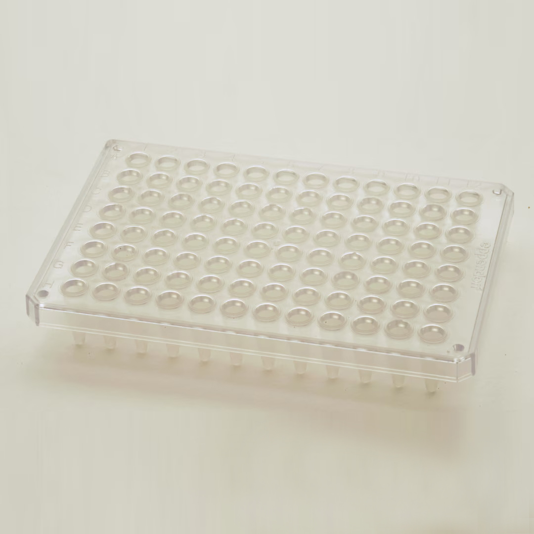 0030128869 twin.tec 96孔, 半裙边, 250 µL, PCR clean, 透明