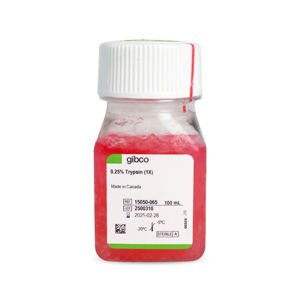 15050-065 胰酶细胞消化液（0.25%胰酶，不含EDTA，含酚红） - Gibco