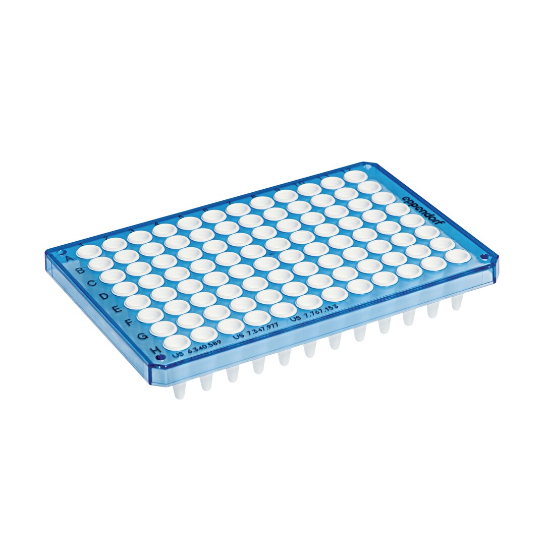 0030132530 twin.tec 96孔, 半裙边, 250 µL, PCR clean, 蓝色框, 白色管 - Eppendorf/艾本德