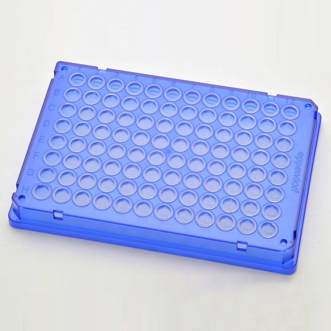0030128842 twin.tec 96孔, 全裙边, 150 µL, PCR clean, 蓝色框, 透明管