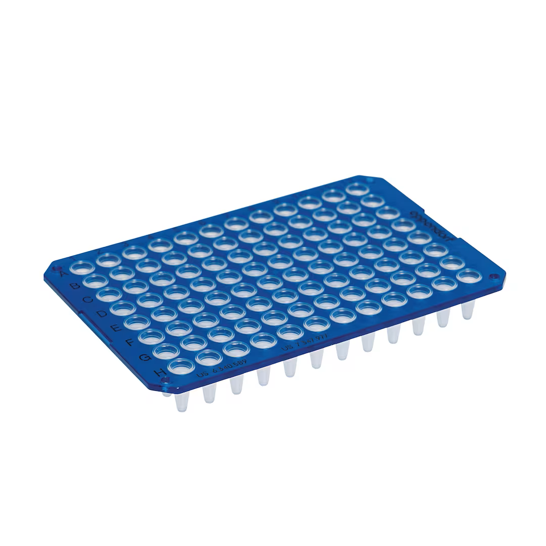 0030133331 twin.tec 96孔, 无裙边, 150 µL, PCR clean, 蓝色框, 透明管, low profle - Eppendorf/艾本德