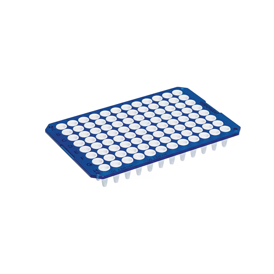 0030132718 twin.tec 96孔, 无裙边, 150 µL, PCR clean, 蓝色框, 白色管 - Eppendorf/艾本德