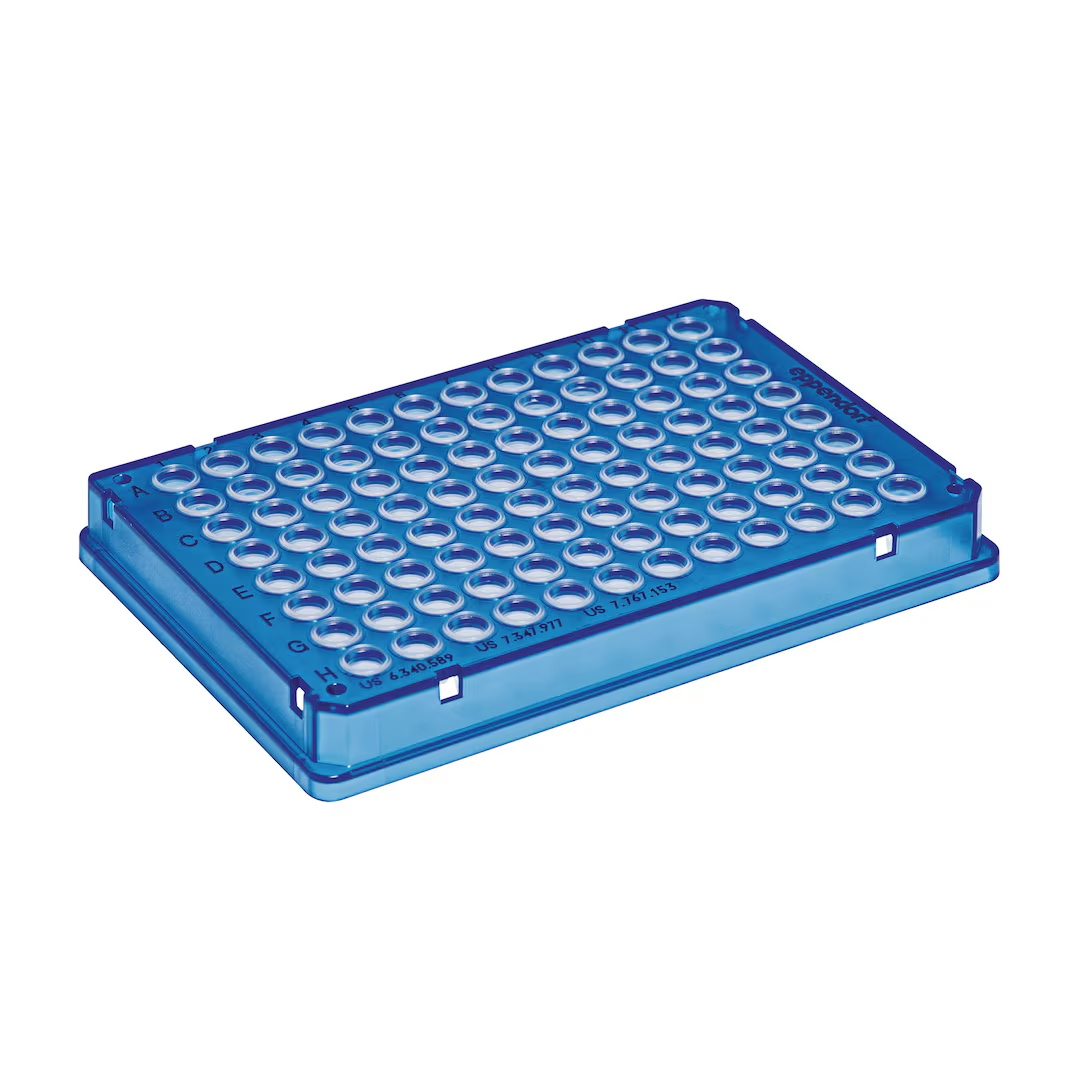 0030128672 twin.tec 96孔PCR板 全裙边(孔无色) 蓝色 - Eppendorf/艾本德
