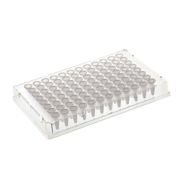 AB3396 Armadillo 0.1ml全裙边96孔PCR板，透明，白色孔 - ABI