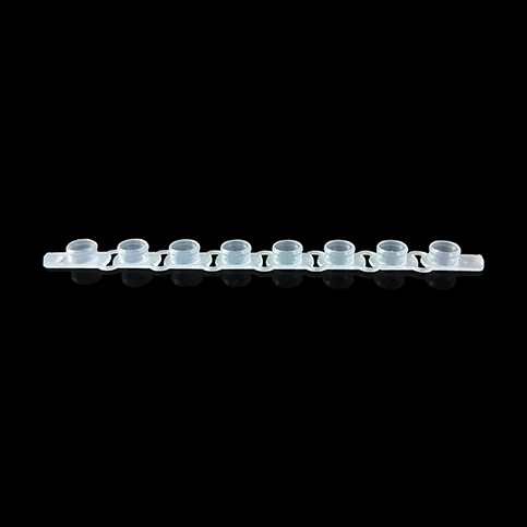 KG2431N 0.2ml PCR8联排环形光学平盖；透明 - KIRGEN(科进)