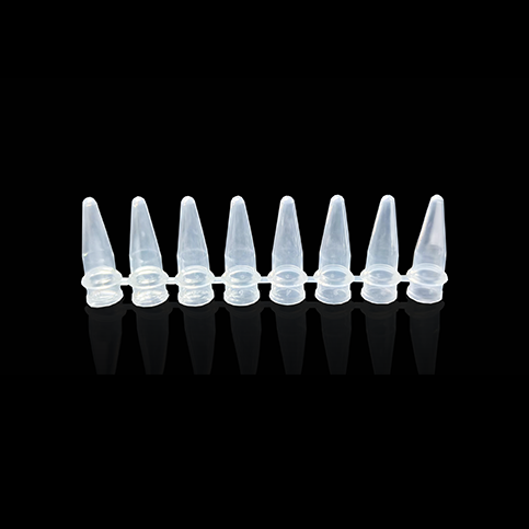 KG2501 0.2ml PCR8联排管；透明 - KIRGEN(科进)