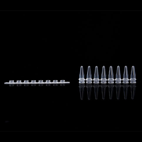 KG2501N 0.2ml PCR8联排管；透明 - KIRGEN(科进)