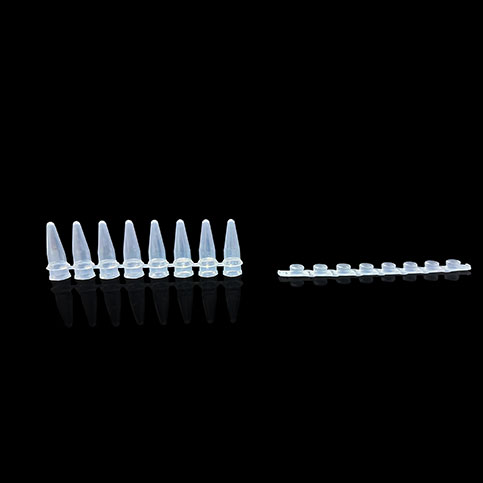 KG2531N 0.2ml PCR8联排管环形光学平盖；透明 - KIRGEN(科进)