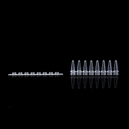 KG2531 0.2ml PCR8联排管环形光学平盖；透明 - KIRGEN(科进)