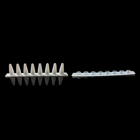 KG2542 0.1ml PCR8联排管方形光学平盖；白色 - KIRGEN(科进)