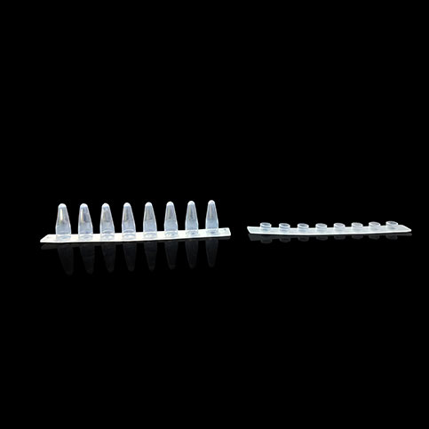 KG2541 0.1ml PCR8联排管方形光学平盖；透明