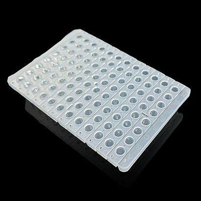 KG2563 0.2ml 透明半裙边96孔PCR板；无色数码 - KIRGEN(科进)